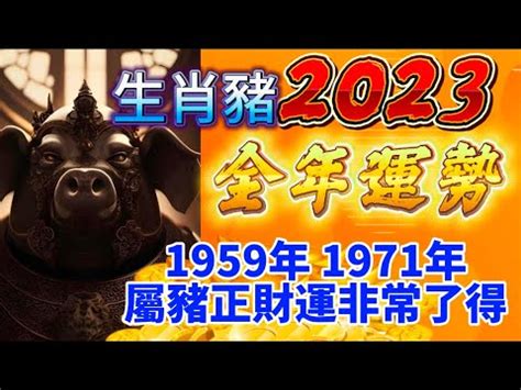 2023豬